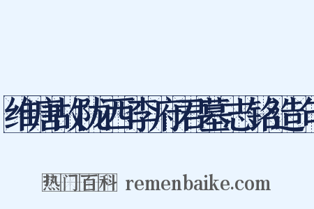 维唐故陇西李府君墓志铭造句是什么意思的图片
